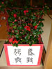 exhibition 2