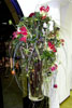 exhibition 13